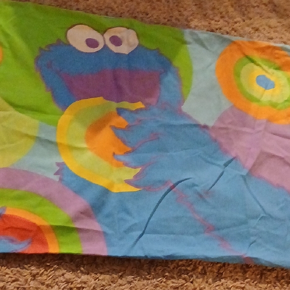 Colorful Elmo And Cookie Monster Pillow Case - Picture 5 of 5